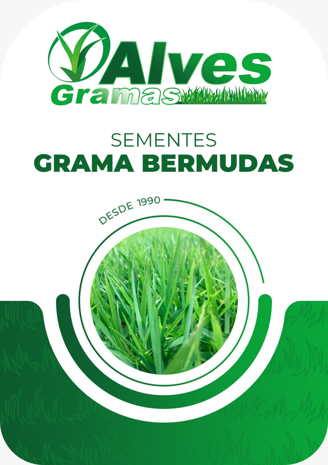 GRAMA BERMUDAS