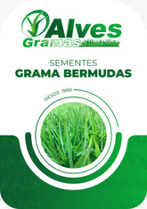 GRAMA BERMUDAS