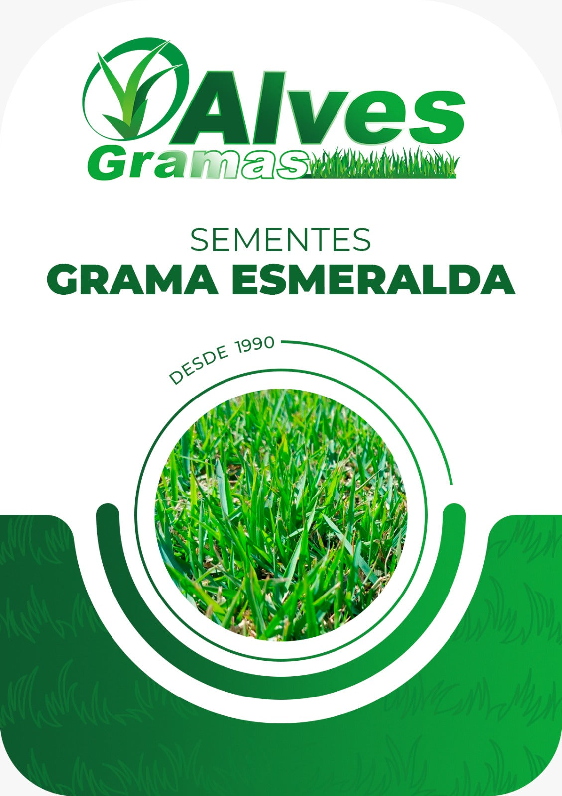 GRAMA ESMERALDA