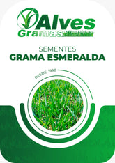 GRAMA ESMERALDA