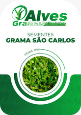 GRAMA SÃO CARLOS